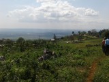 Cedar Valley Plantation, Kingston / St. Andrew, Jamaica - Residential lot for Sale